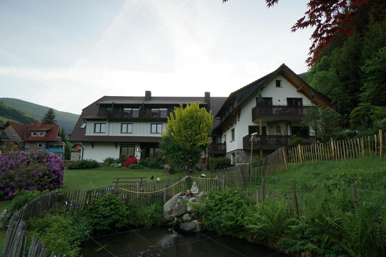 Schultiskopf - Stubenhof, Black Forest