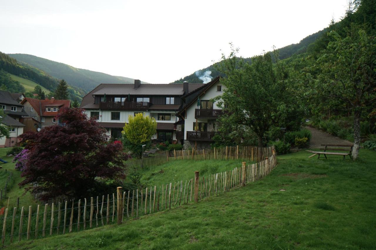 Schultiskopf - Stubenhof, Black Forest *